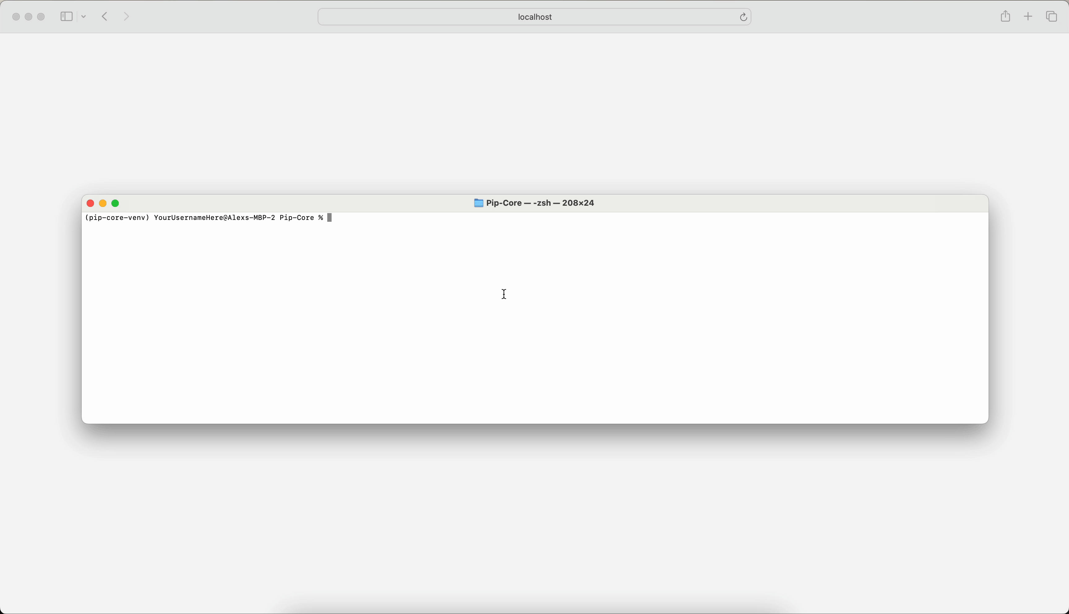A user sets the environment variable, then starts the Python console and a Deephaven server