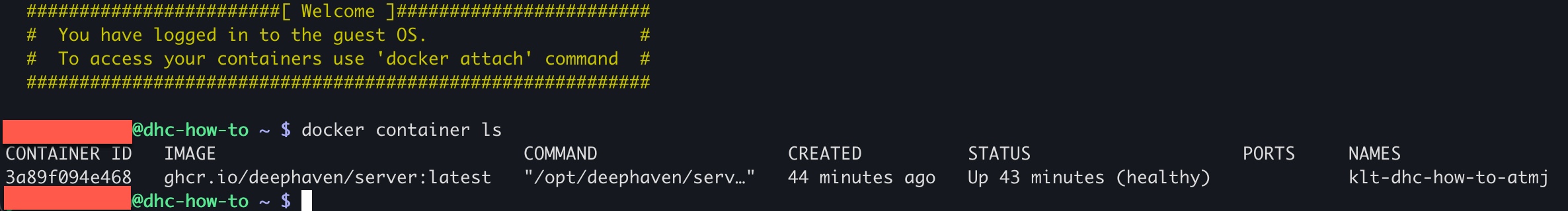 terminal displaying docker container ls output showing running Deephaven container