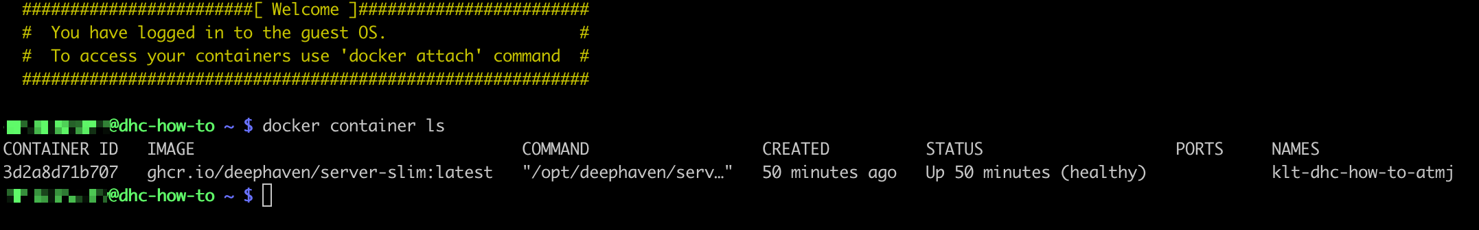 terminal displaying docker container ls output showing running Deephaven container