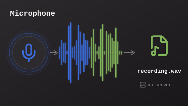 Microphone