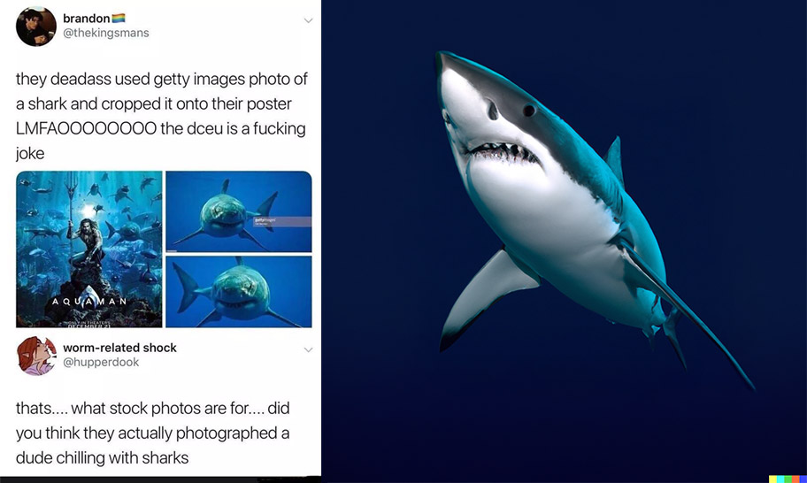 shark meme